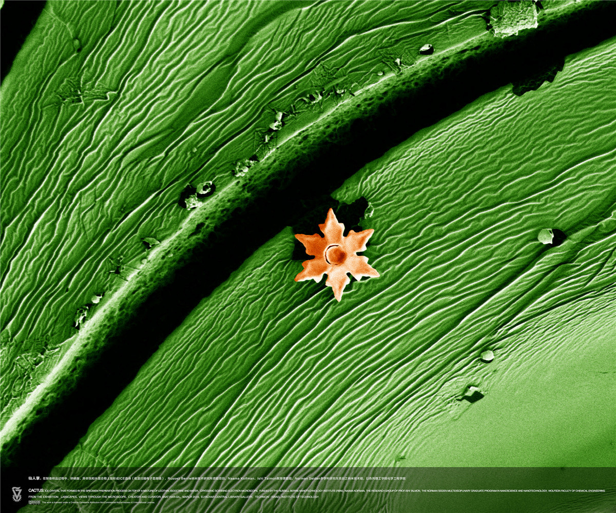 00c6df43-3a40-4ac5-9c29-c8bb922f67b5