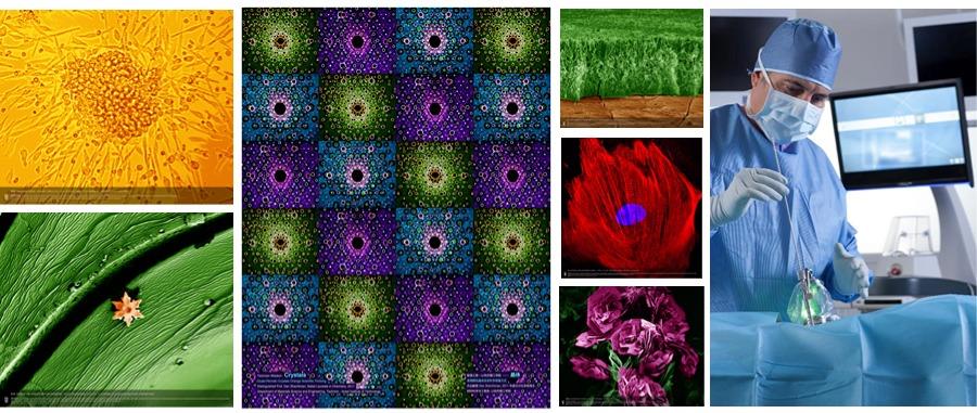 365e09cd-c040-4a4f-a586-4fdd48bd9249