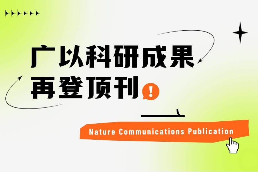 92d8d647-f643-4e00-b345-44da490c9f7e