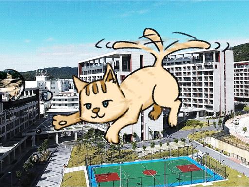 c5693596-5498-4dc3-b16c-d26f697a3802