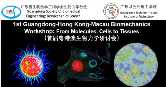 ef959f73-e35b-49d5-8e81-90e319a78dad