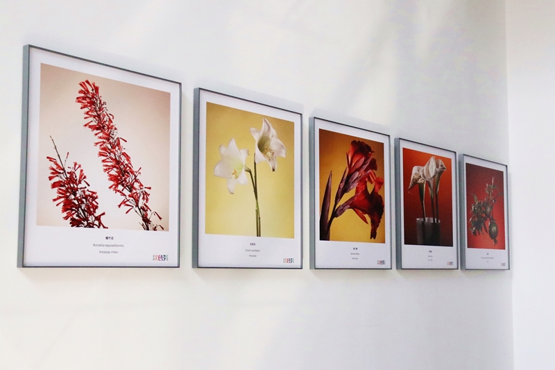 6375096480128928609332850