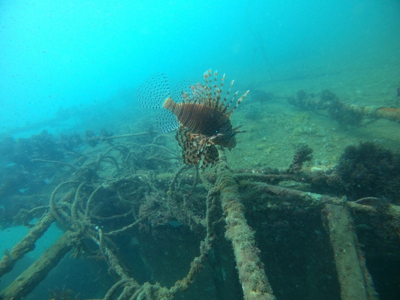 ΢ÐÅͼƬ_20220412084828_¸±±¾.jpg ΢ÐÅͼƬ_20220412084828_¸±±¾.jpg