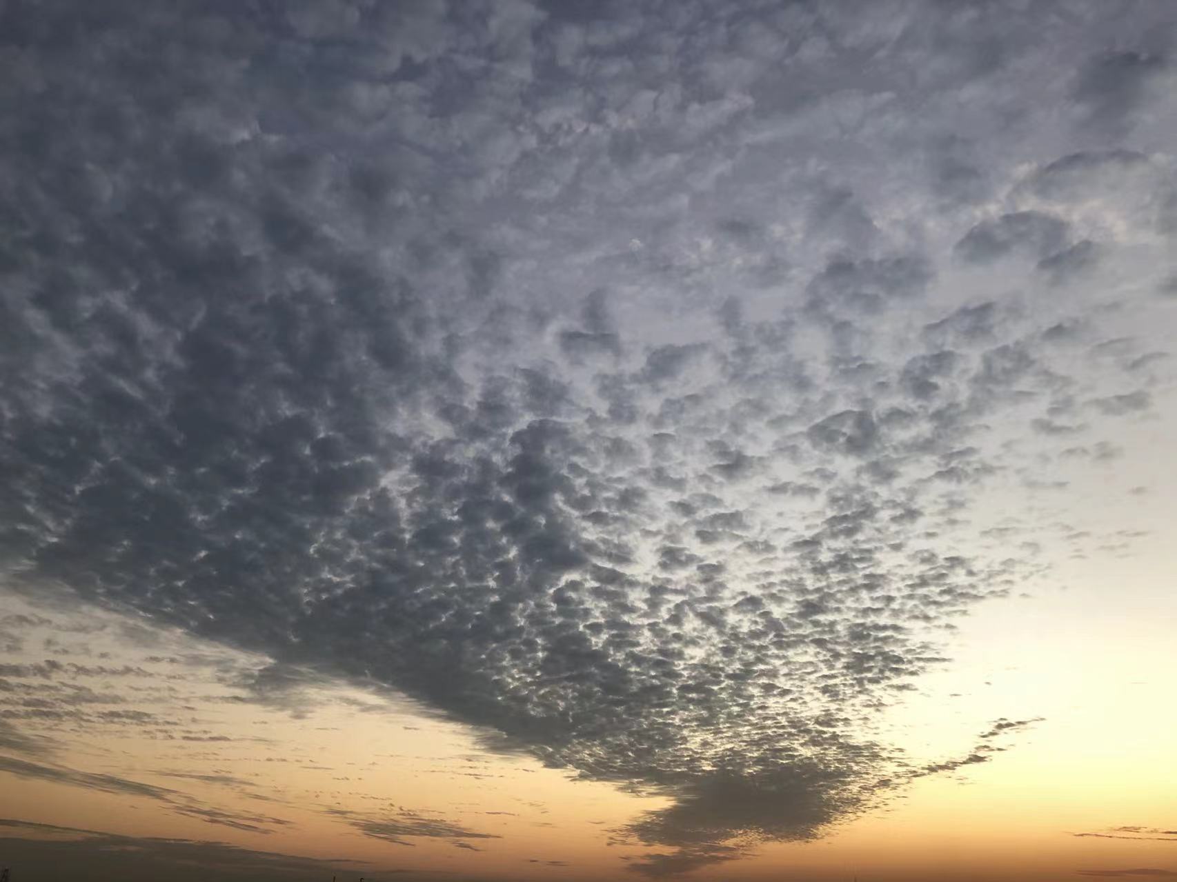 WeChat Image_202205051055451.jpg WeChat Image_202205051055451.jpg