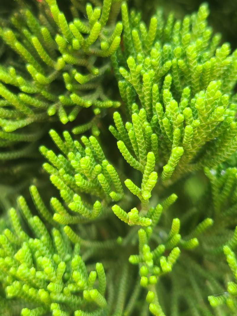 ÄÏɳʪµØ¹«Ô°_¸±±¾.jpg ÄÏɳʪµØ¹«Ô°_¸±±¾.jpg