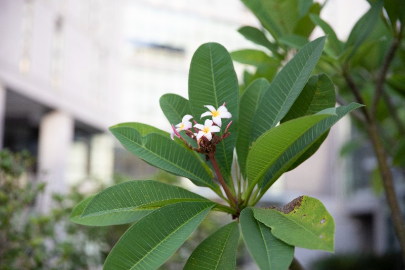 6379807079449446995842700 6379807079449446995842700