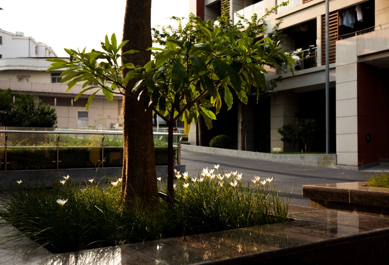 6379807079474449212299656 6379807079474449212299656