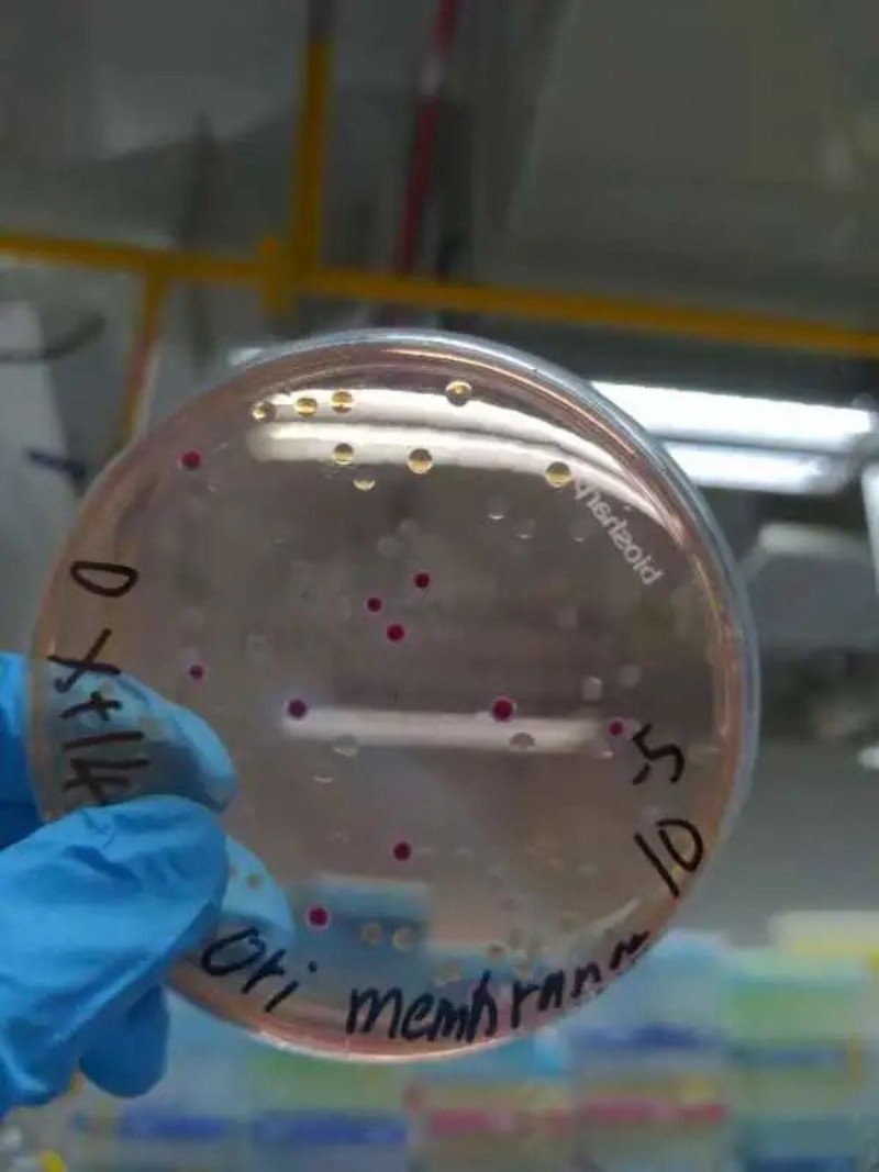 6380118365490388926003229