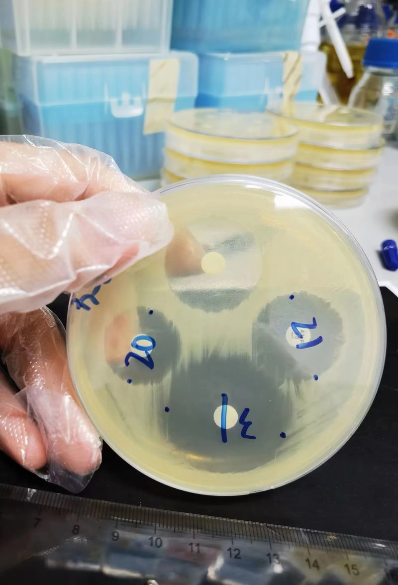 6380118365524765153432002