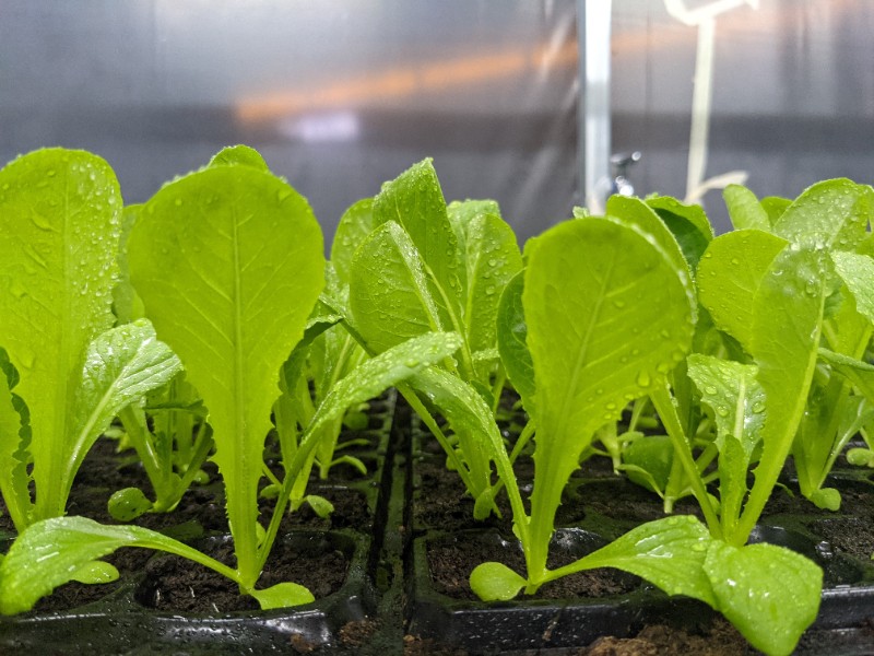 6380118365527891005188665