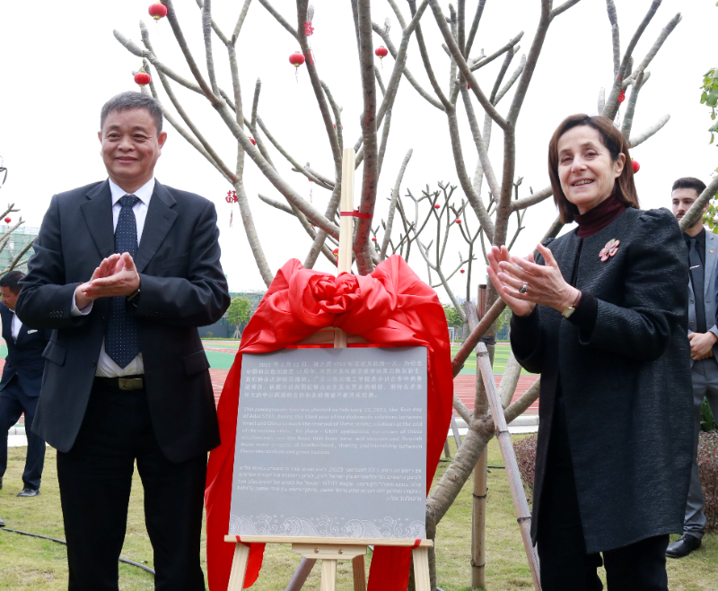 _MG_9254.jpg _MG_9254.jpg