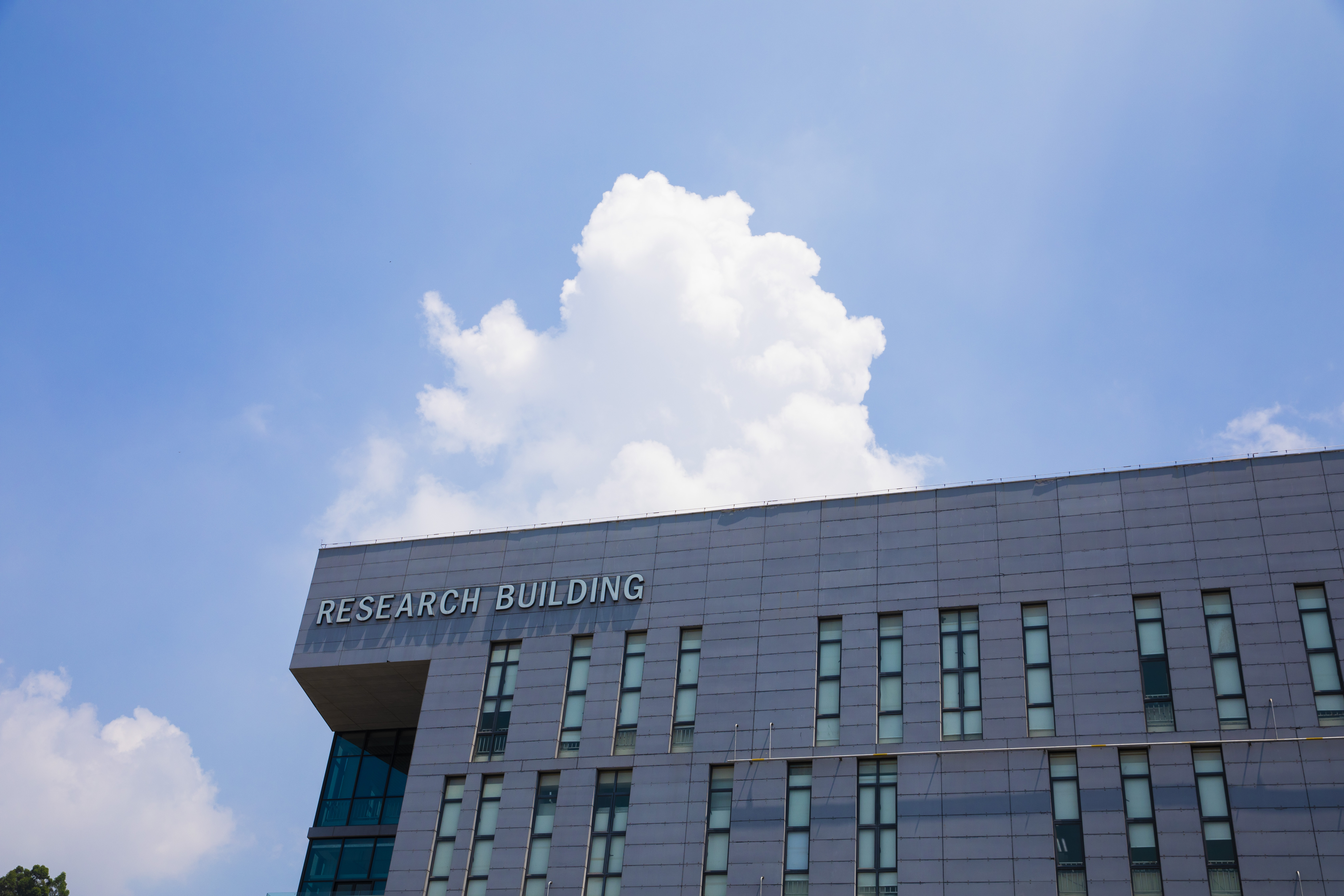 816A9035.jpg 816A9035.jpg