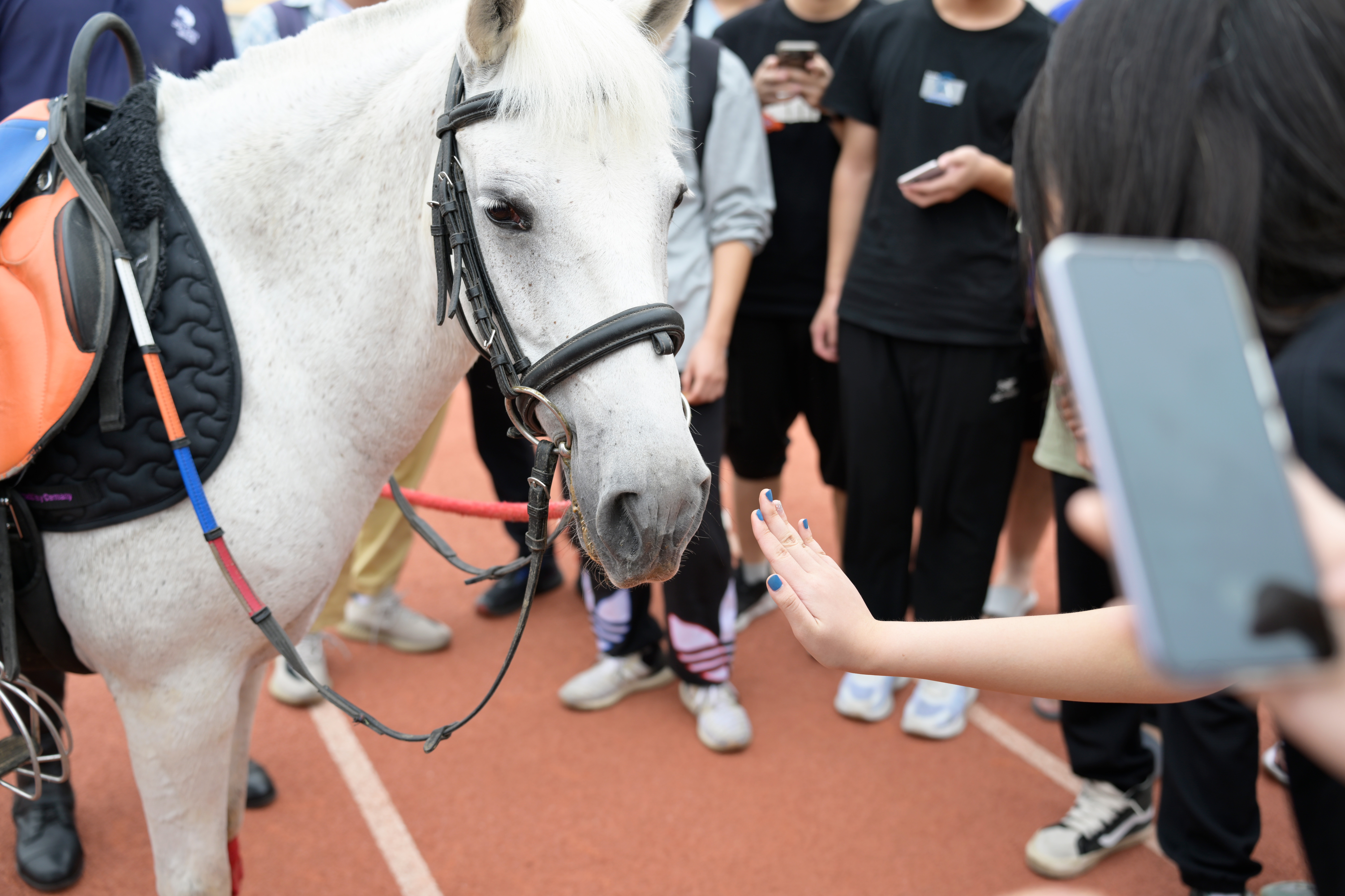 _PIC6494.jpg _PIC6494.jpg