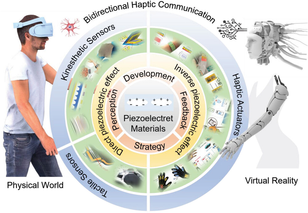 YanWang1.jpg YanWang1.jpg