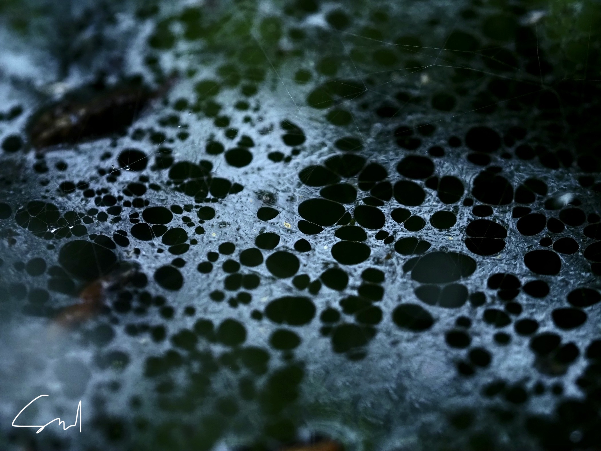 original-96CCB420-F43F-45DE-B272-AD20E67573E5.jpeg original-96CCB420-F43F-45DE-B272-AD20E67573E5.jpeg