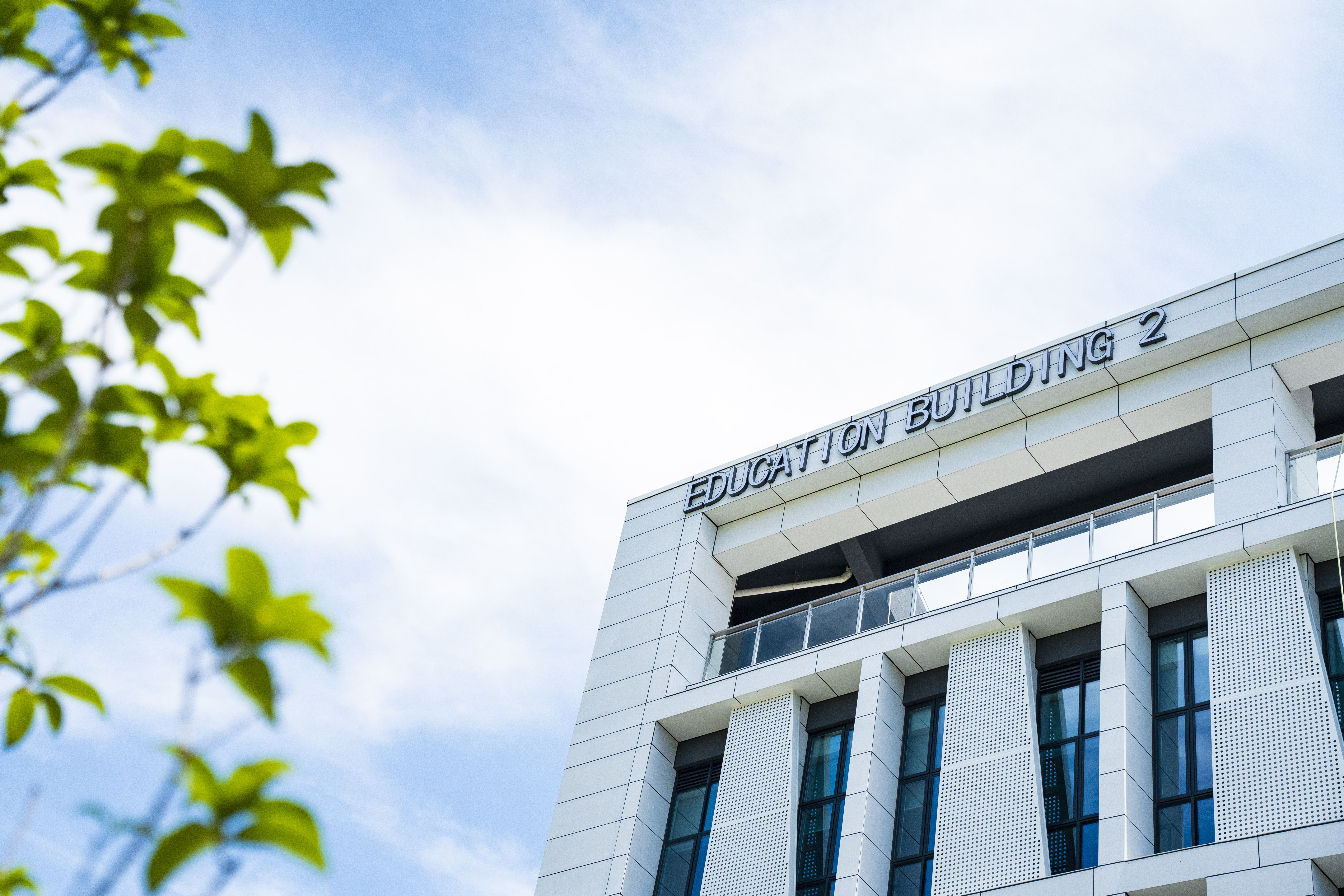 DSC01982-2.jpg DSC01982-2.jpg