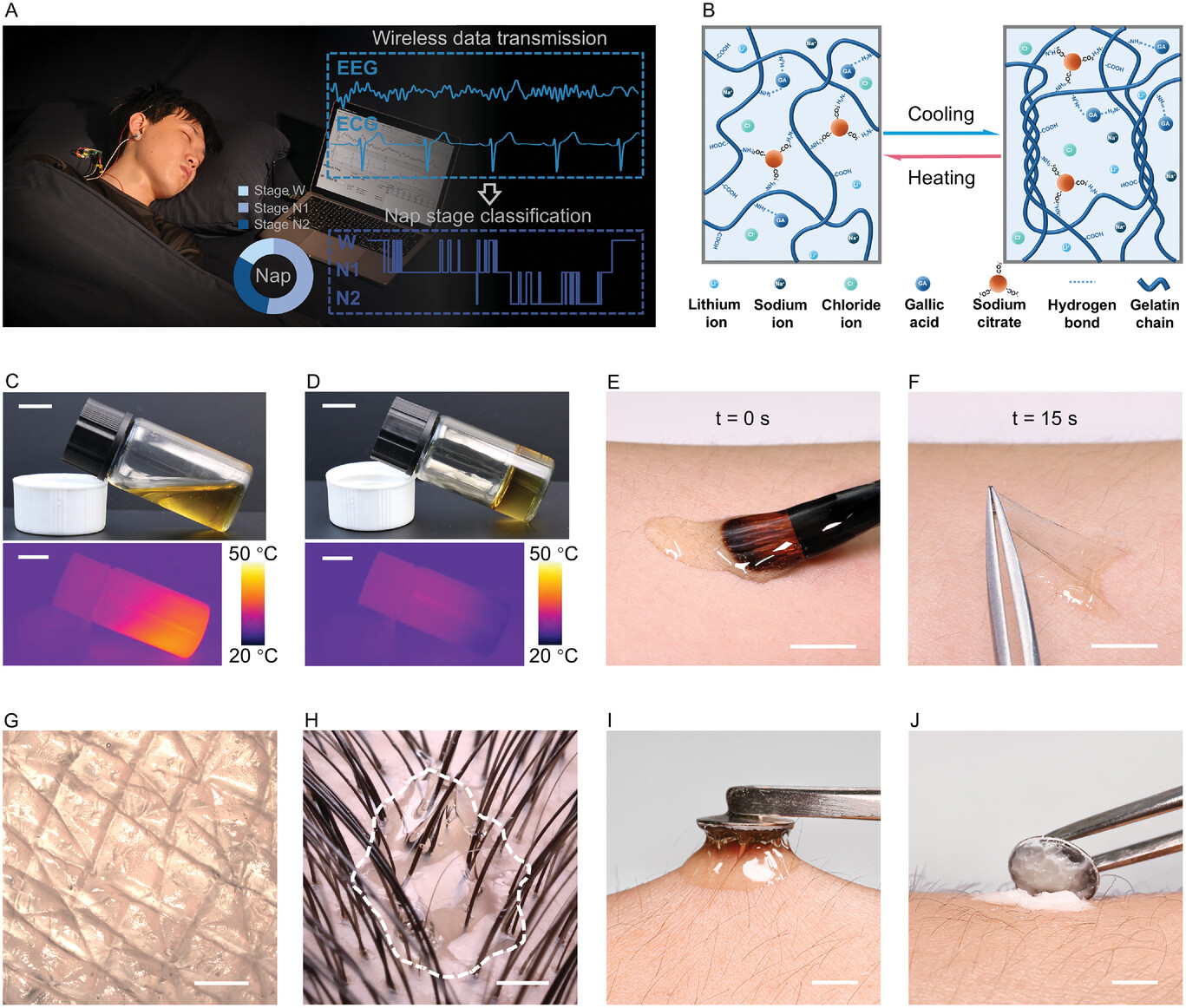 smll202407996-fig-0001-m.jpg smll202407996-fig-0001-m.jpg