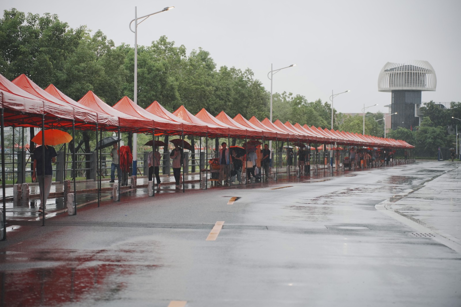 IMG_0599.jpg IMG_0599.jpg