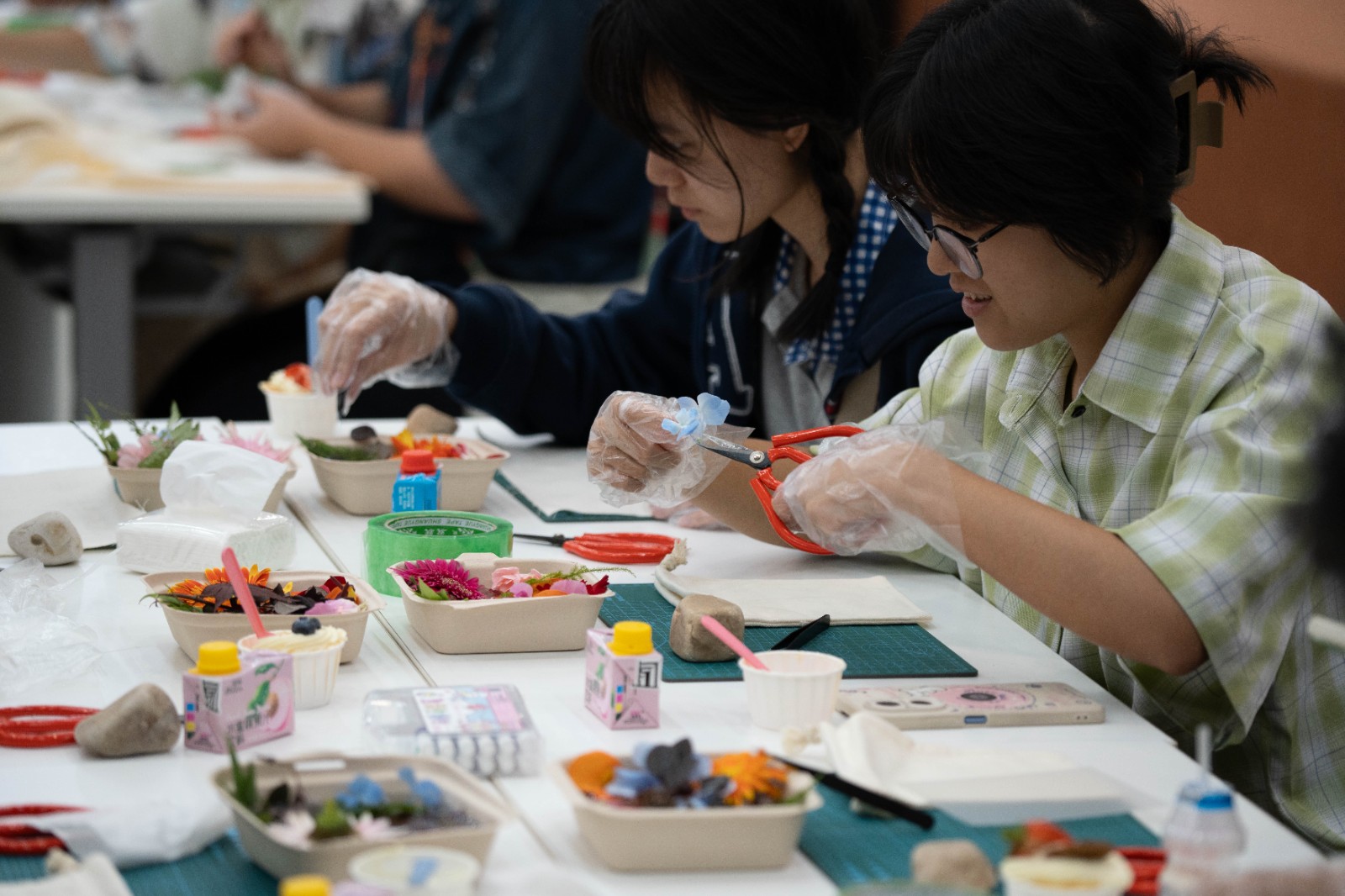 DSC07022.jpg DSC07022.jpg