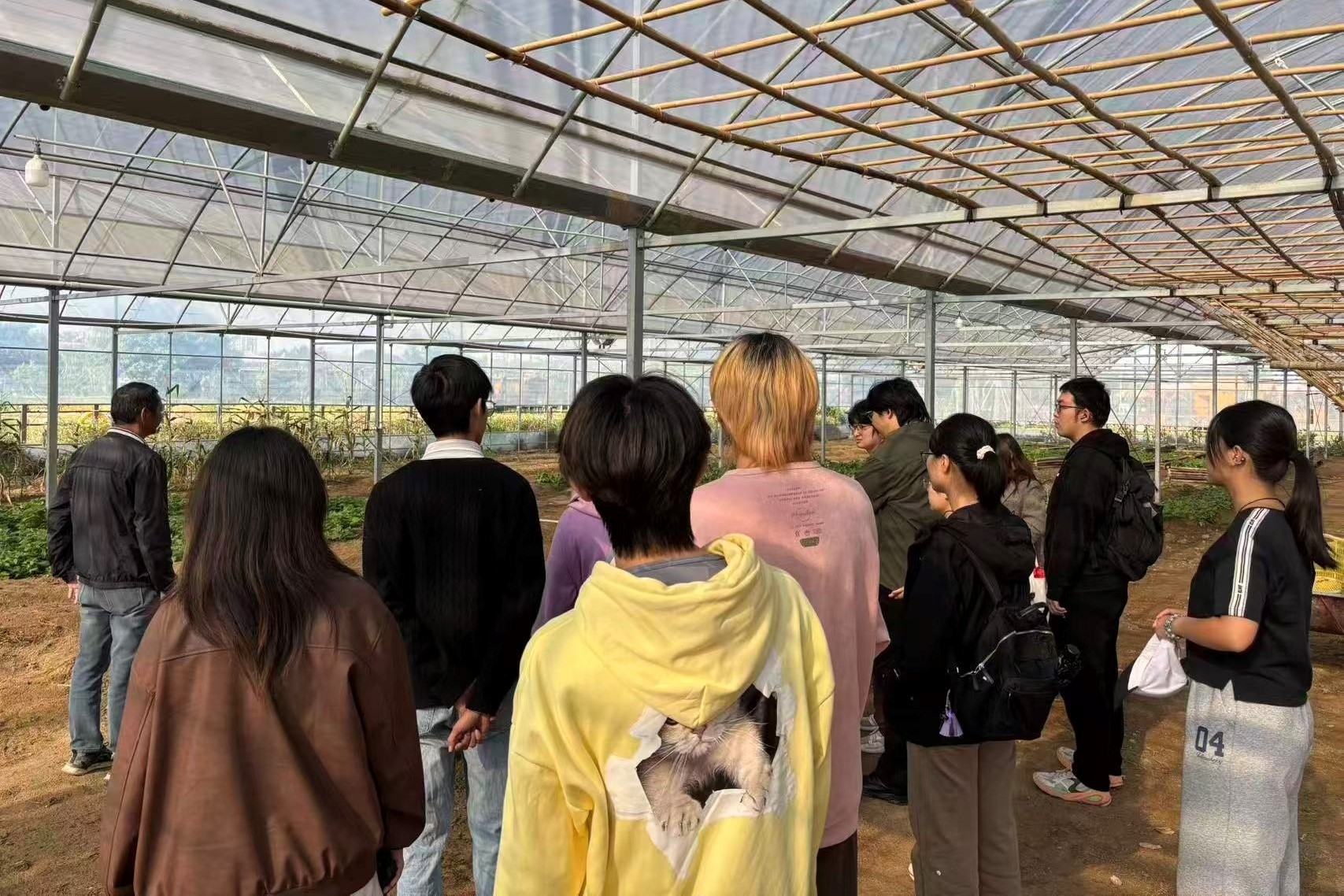 微信图片_2025-11-28_143128_472.jpg 微信图片_2025-11-28_143128_472.jpg