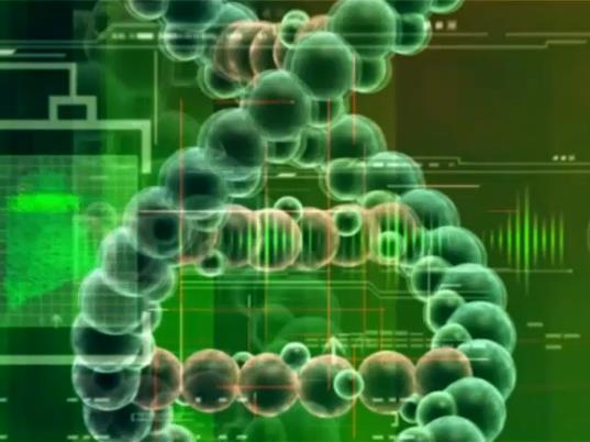 thumb_20eb6291-54c7-4e51-832e-8e925b64f5cd