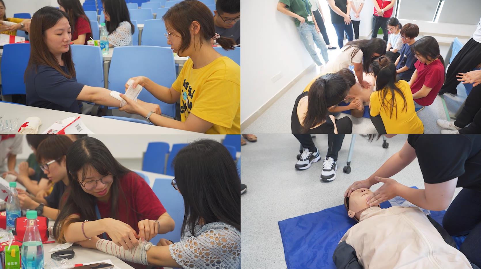 thumb_387a6475-9cae-451b-9045-7f9bc5beaf01