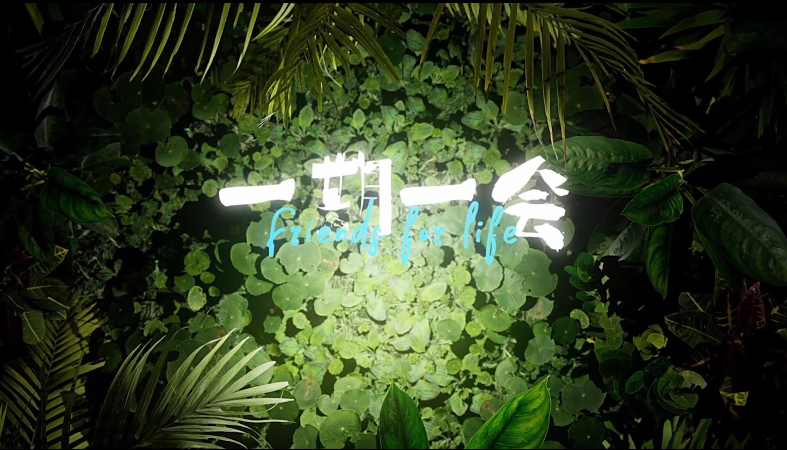 thumb_d7f93cfb-4d81-4f05-a874-86c2fdd37782